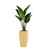 Beige German Polymer Tall Square Planter Tk 18 Inch