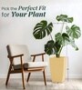 Beige German Polymer Tall Square Planter Tk 18 Inch