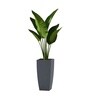 Grey German Polymer Tall Square Planter Tk 18 Inch