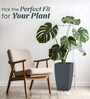 Grey German Polymer Tall Square Planter Tk 18 Inch