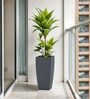 Grey German Polymer Tall Square Planter Tk 18 Inch