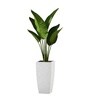 Marble White German Polymer Tall Square Planter Tk 18 Inch
