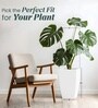 White German Polymer Tall Square Planter Tk 18 Inch