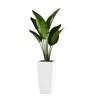 White German Polymer Tall Square Planter Tk 18 Inch