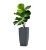 Grey German Polymer Tall Square Planter Tk 24 Inch