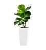 White German Polymer Tall Square Planter Tk 24 Inch