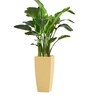 Beige German Polymer Tall Square Planter Tk 30 Inch