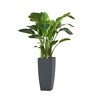 Grey German Polymer Tall Square Planter Tk 30 Inch
