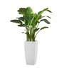 Marble White German Polymer Tall Square Planter Tk 30 Inch