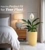 Beige German Polymer Tall Round Planter Tpc 14 Inch