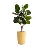 Beige German Polymer Tall Round Planter Tpc 14 Inch