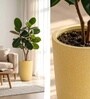 Beige German Polymer Tall Round Planter Tpc 14 Inch