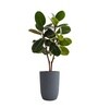 Grey German Polymer Tall Round Planter Tpc 14 Inch