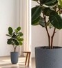 Grey German Polymer Tall Round Planter Tpc 14 Inch