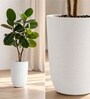 White German Polymer Tall Round Planter Tpc 14 Inch