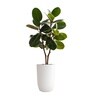 White German Polymer Tall Round Planter Tpc 14 Inch