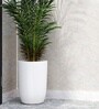 White German Polymer Tall Round Planter Tpc 14 Inch