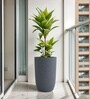 Grey German Polymer Tall Round Planter Tpc 18 Inch