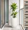 White German Polymer Tall Round Planter Tpc 18 Inch