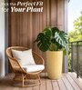 Beige German Polymer Tall Round Planter Tpc 24 Inch