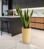 Beige German Polymer Tall Round Planter Tpc 24 Inch