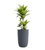 Grey German Polymer Tall Round Planter Tpc 24 Inch