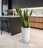 Marble White German Polymer Tall Round Planter Tpc 24 Inch