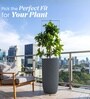 Grey German Polymer Tall Round Planter Tpc 30 Inch