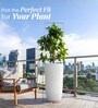 Marble White German Polymer Tall Round Planter Tpc 30 Inch