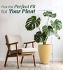 Beige German Polymer Tall Round Planter Vnr 18 Inch