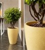 Beige German Polymer Tall Round Planter Vnr 18 Inch