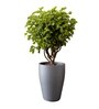 Grey German Polymer Tall Round Planter Vnr 18 Inch
