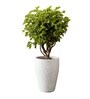 Marble White German Polymer Tall Round Planter Vnr 18 Inch