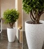 Marble White German Polymer Tall Round Planter Vnr 18 Inch