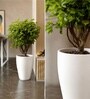 White German Polymer Tall Round Planter Vnr 18 Inch