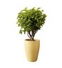 Beige German Polymer Tall Round Planter Vnr 24 Inch