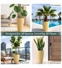 Beige German Polymer Tall Round Planter Vnr 24 Inch
