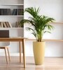 Beige German Polymer Tall Round Planter Vnr 24 Inch