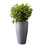 Grey German Polymer Tall Round Planter Vnr 24 Inch