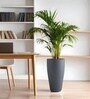 Grey German Polymer Tall Round Planter Vnr 24 Inch