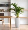 Marble White German Polymer Tall Round Planter Vnr 24 Inch