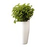 White German Polymer Tall Round Planter Vnr 24 Inch