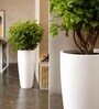 White German Polymer Tall Round Planter Vnr 24 Inch