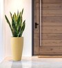 Beige German Polymer Tall Round Planter Vnr 30 Inch