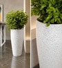 Marble White German Polymer Tall Round Planter Vnr 30 Inch