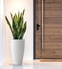 Marble White German Polymer Tall Round Planter Vnr 30 Inch