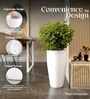 White German Polymer Tall Round Planter Vnr 30 Inch