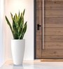 White German Polymer Tall Round Planter Vnr 30 Inch