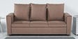Fresno Fabric 3 Seater Sofa in Brown Colour
