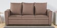 Fresno Fabric 3 Seater Sofa in Brown Colour